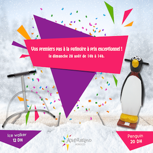 Offre pingouin ADVENTURELAND 