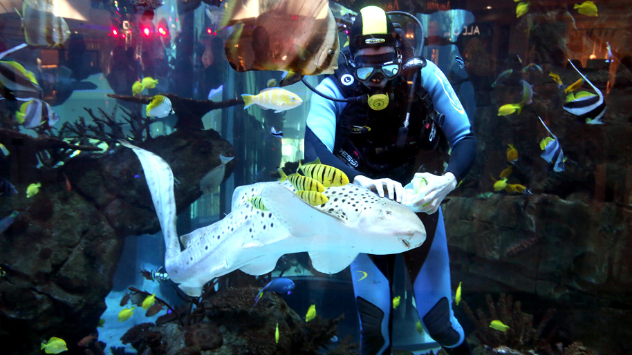 Morocco Mall - Aquadrame